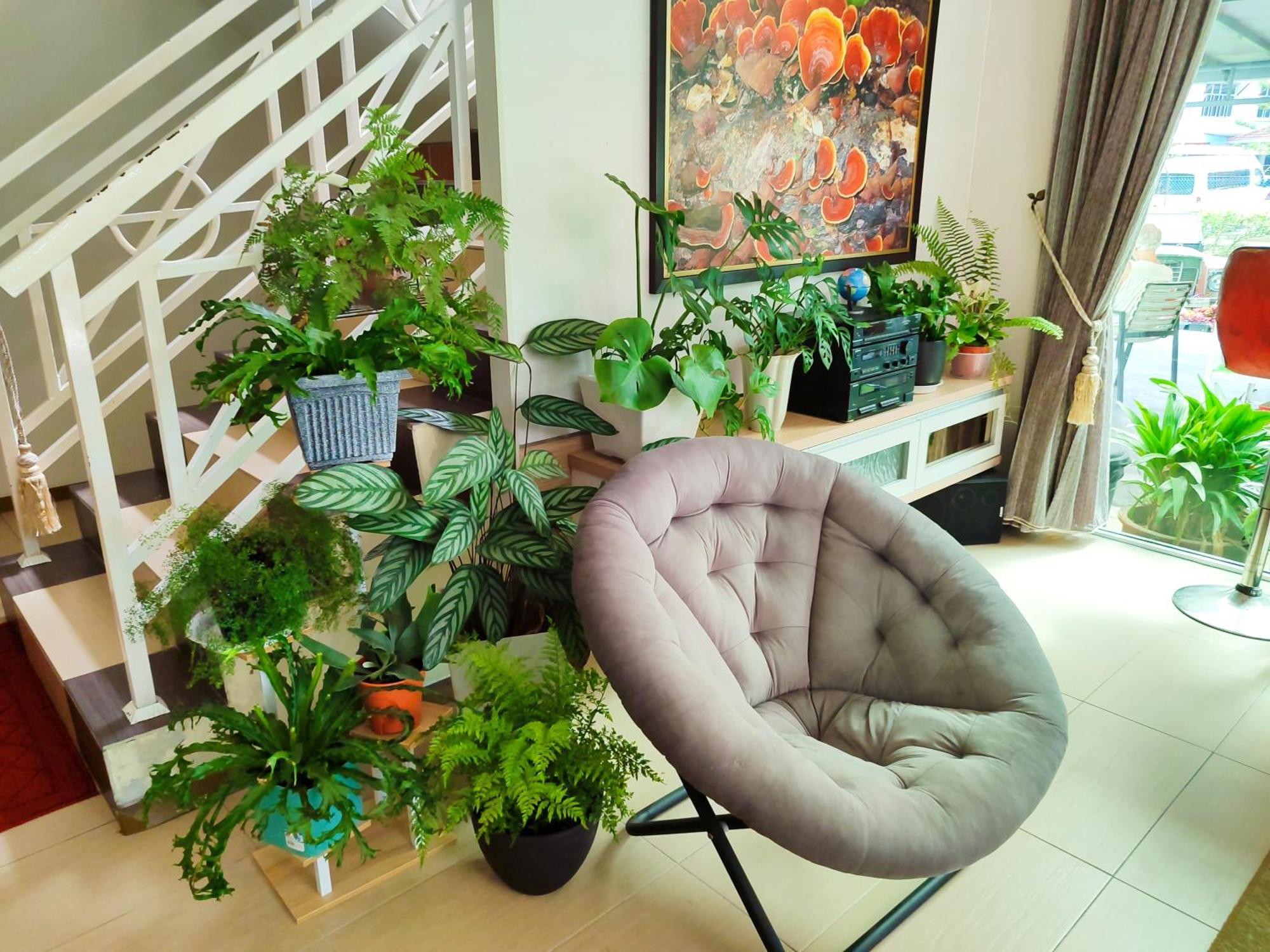 Rovers Inn Guesthouse - Age 11 And Above Only (Adults Only) تاناه راتا المظهر الخارجي الصورة